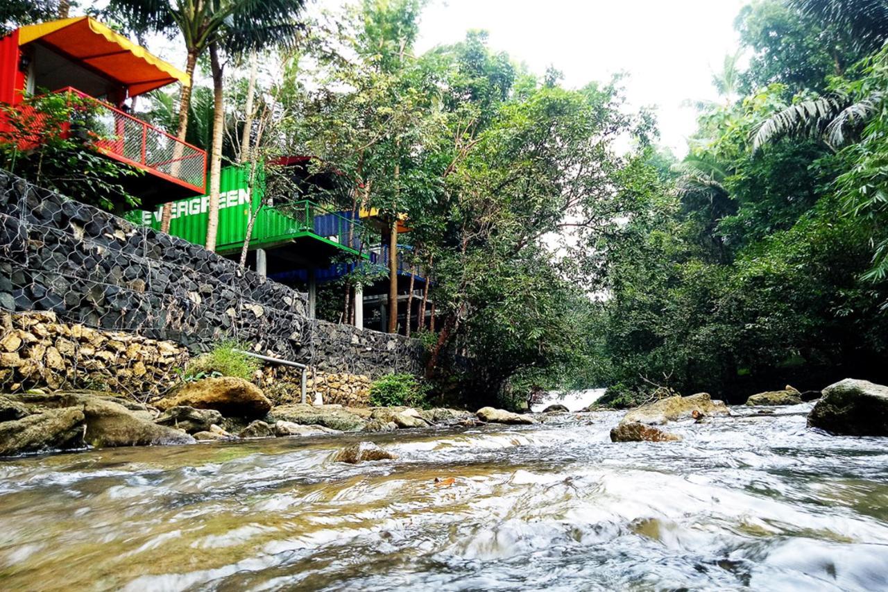 Hau Eco Lodges Citumang פנגנדאראן מראה חיצוני תמונה