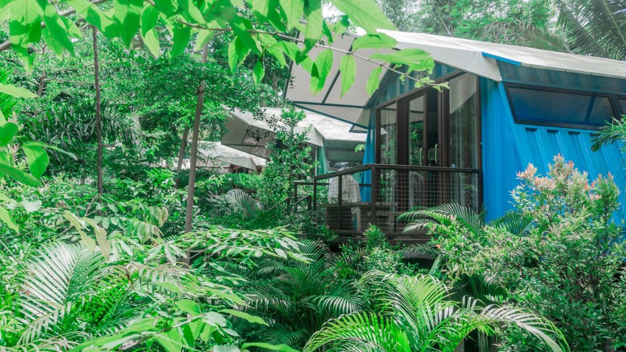 Hau Eco Lodges Citumang פנגנדאראן מראה חיצוני תמונה