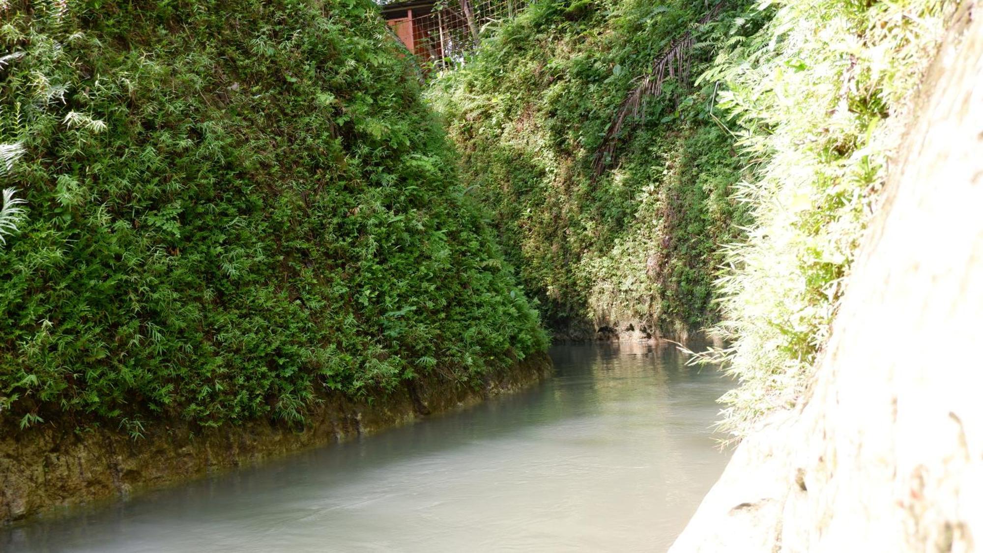 Hau Eco Lodges Citumang פנגנדאראן מראה חיצוני תמונה