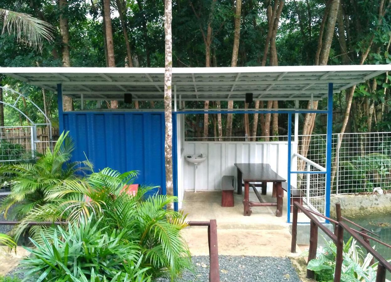 Hau Eco Lodges Citumang פנגנדאראן מראה חיצוני תמונה